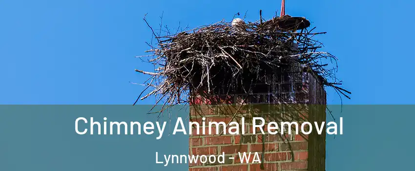  Chimney Animal Removal Lynnwood - WA