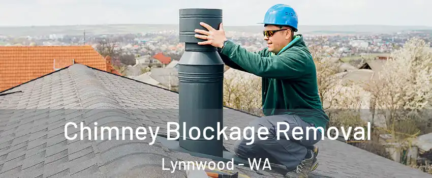  Chimney Blockage Removal Lynnwood - WA