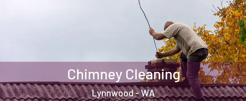  Chimney Cleaning Lynnwood - WA