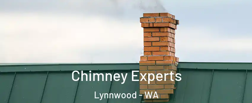  Chimney Experts Lynnwood - WA
