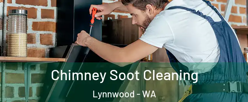  Chimney Soot Cleaning Lynnwood - WA