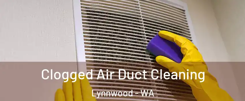  Clogged Air Duct Cleaning Lynnwood - WA