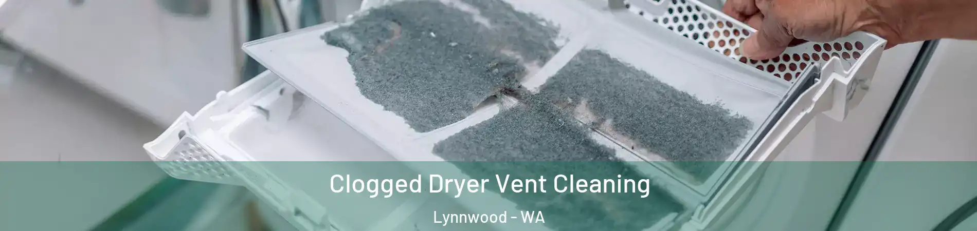  Clogged Dryer Vent Cleaning Lynnwood - WA