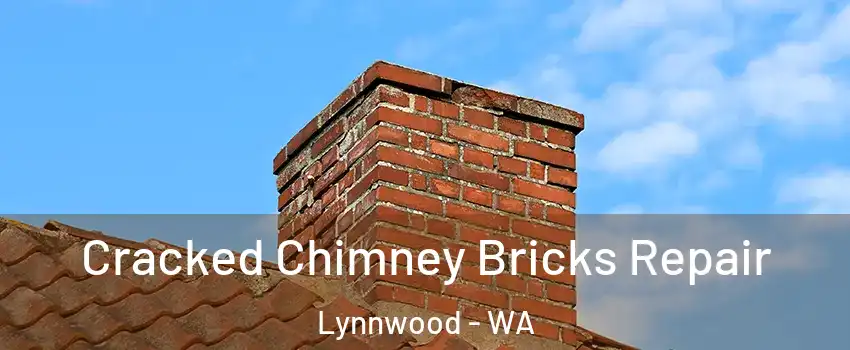  Cracked Chimney Bricks Repair Lynnwood - WA