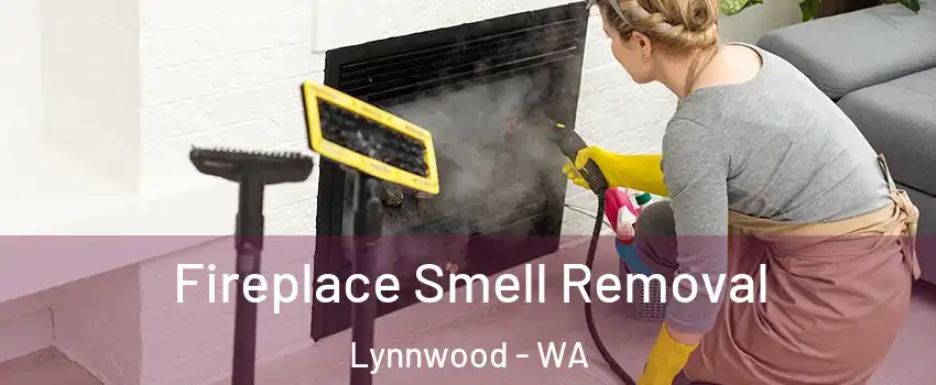  Fireplace Smell Removal Lynnwood - WA