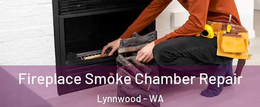  Fireplace Smoke Chamber Repair Lynnwood - WA