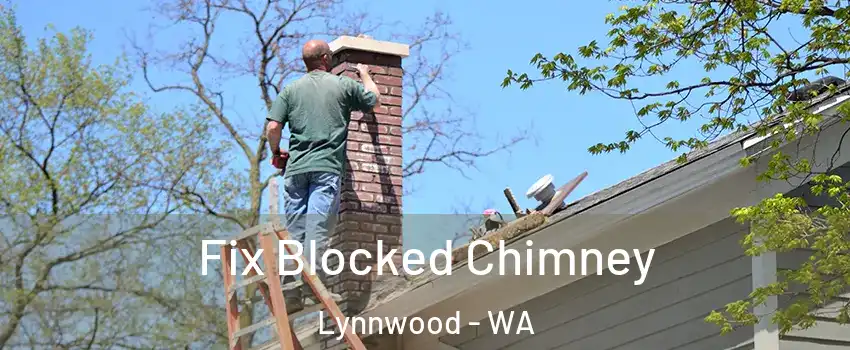  Fix Blocked Chimney Lynnwood - WA