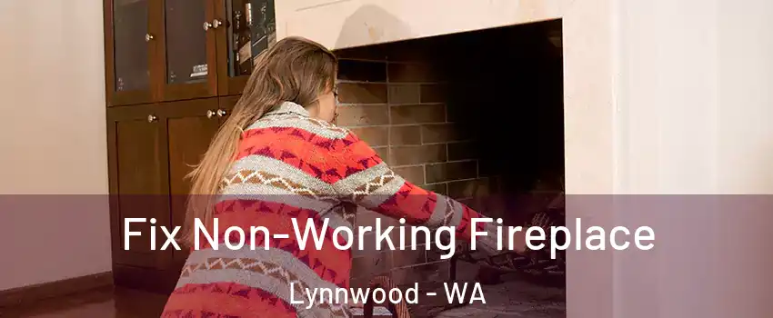  Fix Non-Working Fireplace Lynnwood - WA