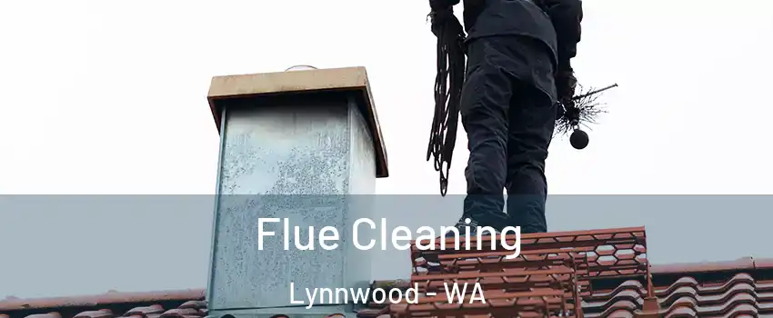  Flue Cleaning Lynnwood - WA