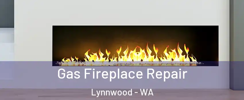  Gas Fireplace Repair Lynnwood - WA