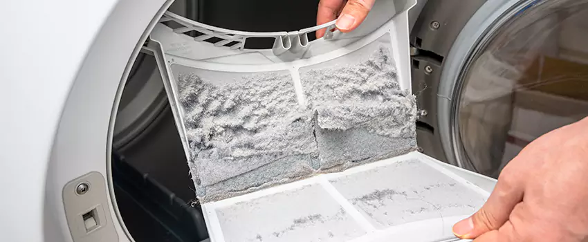 Best Dryer Lint Removal Company in Lynnwood, Washington