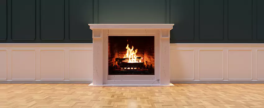 Napoleon Electric Fireplaces Inspection Service in Lynnwood, Washington