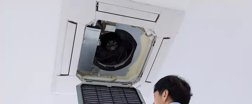 Benefits of Professional Air Duct Cleaning in Lynnwood, Washington