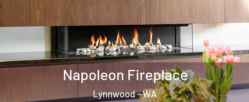  Napoleon Fireplace Lynnwood - WA