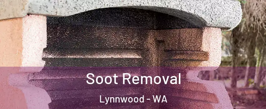  Soot Removal Lynnwood - WA