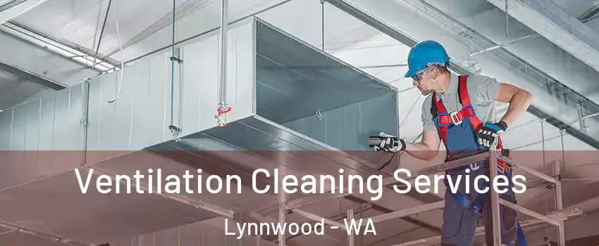  Ventilation Cleaning Services Lynnwood - WA