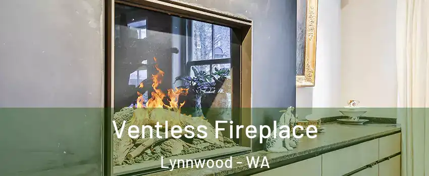  Ventless Fireplace Lynnwood - WA